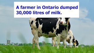 30,000 LITRES MILK DUMPED