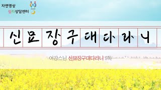 [불교기도] 신묘장구대다라니 9독_여강스님