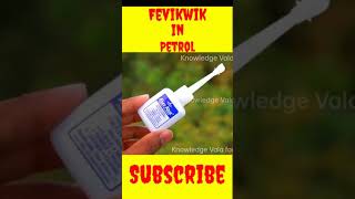 क्या हो जब पेट्रोल में फेवीक्विक डाला जाए | Fevi Kwik Experiments | #crazyxyz  |#shorts |#experiment