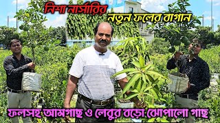 ফলধরা বিদেশি  ফল গাছের বাগান বাড়ি,নিশা নার্সারির বজবজ শাখা ।