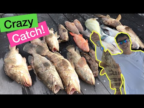 Too Many Fishes Caught In One Video! - YouTube