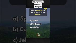 మి కోసం ఈ small questions , సమాధానాలు తెలుస్తే  comment చెయ్యండి#shorts #share #question  #english