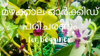 മഴക്കാല ഓർക്കിഡ് പരിചരണം How to use organic fertilizer in rainy season in Malayalam#najisworld