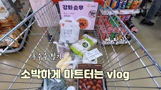 #vlog 주말에 장보는 맞벌이 신혼부부. 추억의 빵 털기