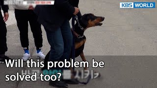 Will this problem be solved too? (Dogs are incredible EP.108-9) | KBS WORLD TV 220112