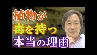 【武田鉄矢今朝の三枚おろし】  武田鉄矢 日本人の風習の裏側！‬武田さんの‪熱弁‬で‪知れば知るほど恐ろしい‬・・・