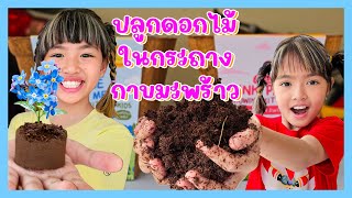 YimYamFamily | ปลูกดอกไม้ในกระถางกาบมะพร้าว