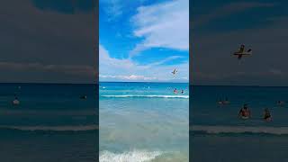 Cala Millor beach 🏖️🤩✈️ #mallorca #beach #spain #travel #summer #september  #youtubeshorts