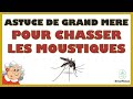 Astuce de grand mere pour chasser les moustiques