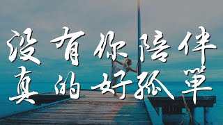 沒有你陪伴真的好孤單 - 夏洛菲『愛不怕 願陪你海角天涯』【動態歌詞Lyrics】