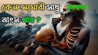 অঘোরী সাধুদের জীবনযাত্রা ও তন্ত্র সাধন পদ্ধতিতে অঘোরীরা কেন মরা মাংস খায় | First Talk