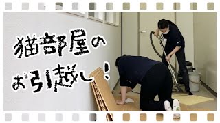 猫部屋のお引越し！ 動物専門学校トリマー 動物看護師　アクアリウム 動物のお仕事