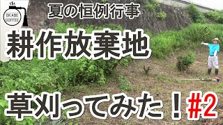 【手入れ】田舎の恒例行事「耕作放棄地の草を刈ってみた！ Part.2」夏場は毎年あること【草刈り動画】