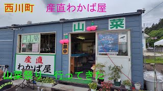 西川町わかば屋さんで山菜祭り