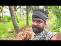 100 കിലോ കപ്പ പറിച്ചു ഞങ്ങൾ village tapioca harvesting vlog malayalam