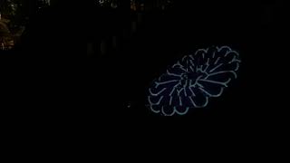 石山寺あらた夜もみじライトアップ