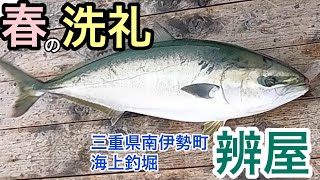 【釣り】春の海上釣堀の洗礼を受けた！三重県南伊勢町の海上釣堀『辨屋』