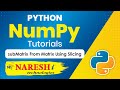 Numpy subMatrix From Matrix Using Slicing | NumPy Python Tutorial | NumPy Tutorial | Naresh IT