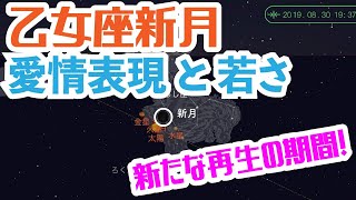 ♍️乙女座♍️♌️獅子座♌️新月🌒の運勢（20190830）