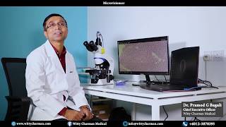 Whole Slide Imaging (WSI) Digital Slide Scanning with Witty Viz by Witty Charman