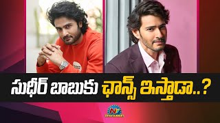 సుధీర్ బాబు కు ఛాన్స్ ఇస్తాడా..? | Mahesh Babu | Box Office | NTV ENT