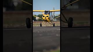 Aeronca Champ Landing in Slow Motion #aviation #aviationlovers #pilot #pilotlife #aviator #nikon