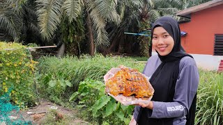 17/04/2021 Bakar Ikan | Ayam With Miss Aina