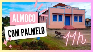 Almoço com Palmelo - Livro \