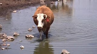 מזג אוויר מטיילים בצפון מרום גולן רמת הגולן נהר הירדן