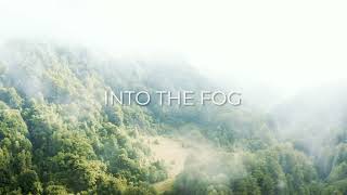 Transalpina Into the Fog | Drone Footage | 4KUHD