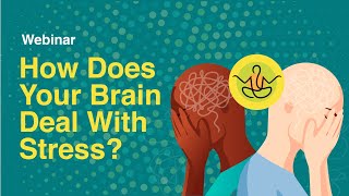How Does YOUR Brain Deal with Stress? | Brain & Mind Institute | Aga Khan University