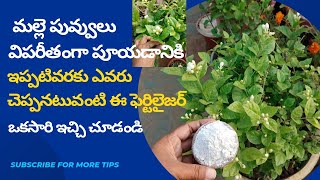 Tips for growing more Jasmineflowers/how to get more Jasmine flowers/malle mokkala puvvulu