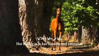 Daughters of the wind [English subtitles] - Mishary Al-Afasy (Halal Nasheed. No Music)