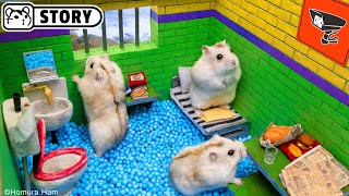 🐹 Hamster Escapes the Alcatraz Prison Maze 🐹 Homura Ham