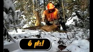 P-POCKET Buck: Coco Puff's Maine Buck(Throwback Thursday)