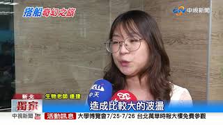 海上驚奇!包船遊淡水河 烏魚狂跳上船│中視新聞 20200726