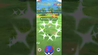 ✨【激レア】【ポケモンGO】【コミュニティデイ】【色違いシビシラス】🐟📹❤️‍🔥😉🤗🥰✨@crystalquartzm  優しいから💎🔮😉🥰😎✨猛暑から救ったよ🐟💎✨