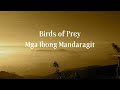 Birds of Prey (Mga Ibong Mandaragit)  Now on Audible and iTunes