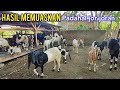 Sesimpel Ini. Ternak Kambing Ala Kadarnya Tapi Kambingnya Istimewa