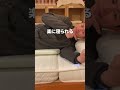 横向き寝で寝ると肩や腕が痛い 痺れる方へ