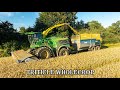 John Deere 9900i Wholecropping Spring Triticle for the Digester