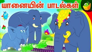 யானையின் பாடல்கள்   | Tamil Rhymes  | Chutti Kutties Tamil Rhymes For Kids