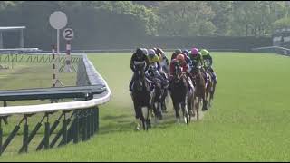 キタサンブラック 2017年 第155回天皇賞(春)(GI) (優勝馬：キタサンブラック)