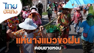 แห่นางแมวขอฝนแห่งบ้านดอนยายหอม | เรื่องนี้มีตำนาน