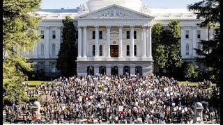 Shpërthen SHBA! Nisin protestat kundër Donald Trump dhe Elon Muska