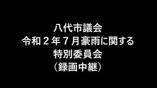 20250311 令和２年７月豪雨に関する特別委員会