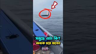 সমুদ্রে এটা কি অবাক হয়ে যাবেন 😱 #সমুদ্রেরপ্রানী #সমুদ্র #তিমিমাছ #facts #viral #shorts