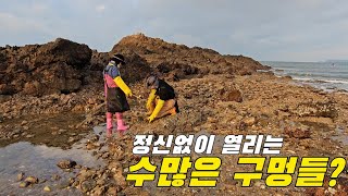 갯벌을 발로 누르면 열리는 구멍속 숨어있던 이것?! +먹방