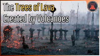 A Geologic Oddity; The Trees of Lava Created by Volcanoes