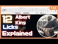 12 Albert King Licks Explained / From Blues Power 9/23/1970 Fillmore East / Blues Guitar Lesson